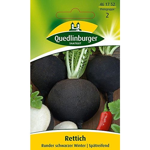 Rettich-Samen Quedlinburger Rettich, Runder schwarzer
