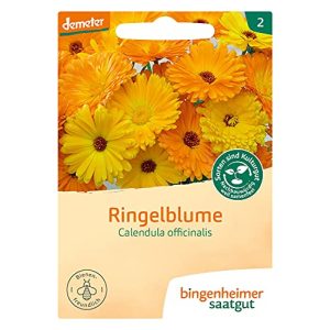 Ringelblumen-Samen Bingenheimer Saatgut AG Ringelblume