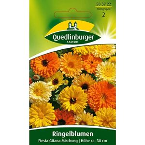 Ringelblumen-Samen Quedlinburger Ringelblume, Fiesta Gitana