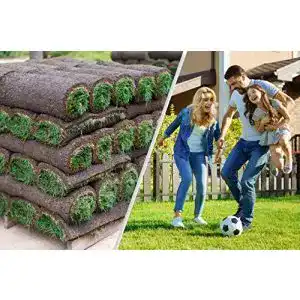 Rollrasen Rollrasen Rudi, 30m² echter Fertigrasen, frisch geschält