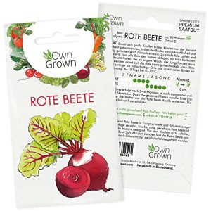 Rote-Beete-Samen OwnGrown, ca. 50 Rote Beete Pflanzen