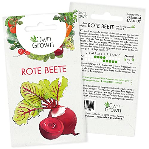 Die beste rote beete samen owngrown ca 50 rote beete pflanzen Bestsleller kaufen