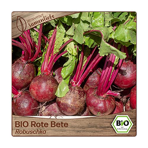 Die beste rote beete samen samenliebe bio robuschka fruchtig suess Bestsleller kaufen