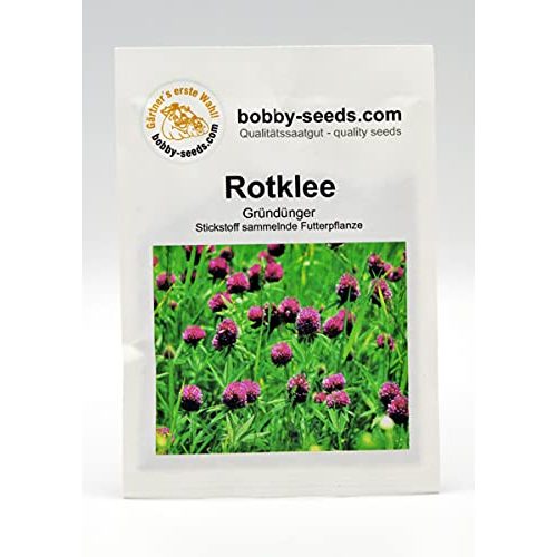 Rotklee-Samen Gärtner’s erste Wahl! bobby-seeds.com Bodenkur