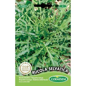 Rucola-Samen Germisem Rucola SELVATICA, mehrfarbig, EC7002