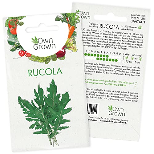 Die beste rucola samen owngrown rucola samen ca 500 rucola pflanzen Bestsleller kaufen