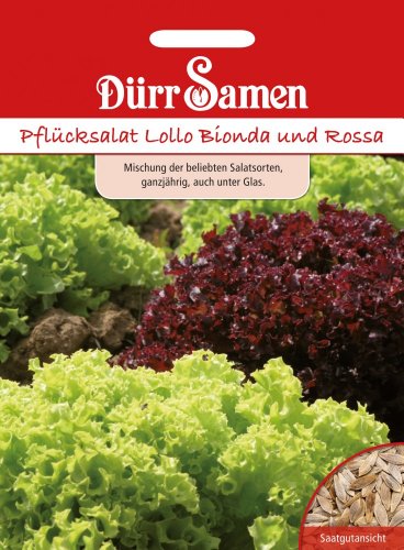 Die beste salat samen duerr samen pfluecksalat lollo bionda und rossa Bestsleller kaufen