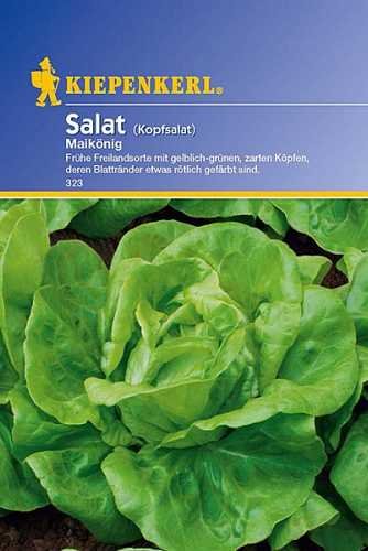 Die beste salat samen kiepenkerl salat kopfsalat maikoenig Bestsleller kaufen
