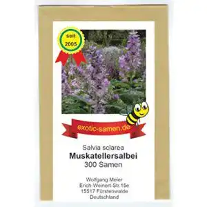 Salbei-Samen exotic-samen Bienenweide, Muskatellersalbei