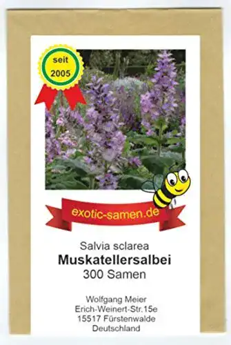 Salbei-Samen exotic-samen Bienenweide, Muskatellersalbei
