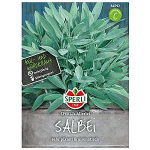 Salbei-Samen Sperli 84592 Premium Salbei Samen Mehrjährig