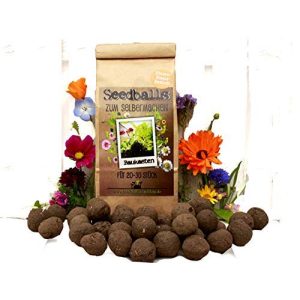 Samenbombe Die Seedball-Manufaktur, Bienenstaatsbankett