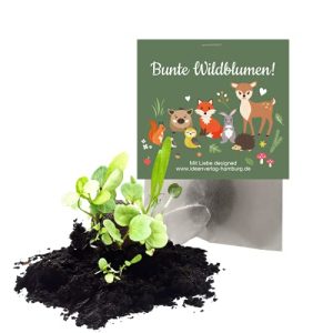 Samenbombe Ideenverlag-Hamburg 10x “Waldtiere”