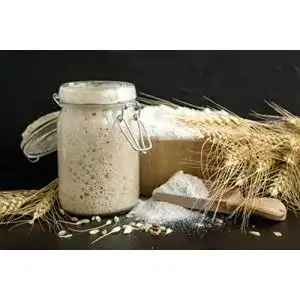 Sauerteig Rough & Tough FRISCH Roggen Vollkornmehl Anstellgut!