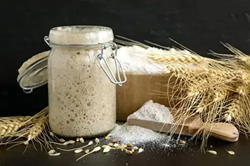 Sauerteig Rough & Tough FRISCH Roggen Vollkornmehl Anstellgut!