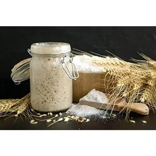 Sauerteig Rough & Tough FRISCH Roggen Vollkornmehl Anstellgut!
