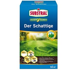 Schattenrasen-Samen Substral Rasensamen Der Schattige, 1 kg