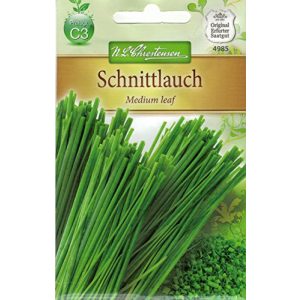 Schnittlauch-Samen Chrestensen Schnittlauch ‘Medium leaf’