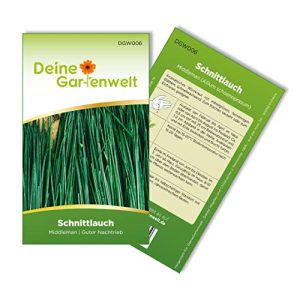 Schnittlauch-Samen Deine Gartenwelt Schnittlauch Polyvert Samen