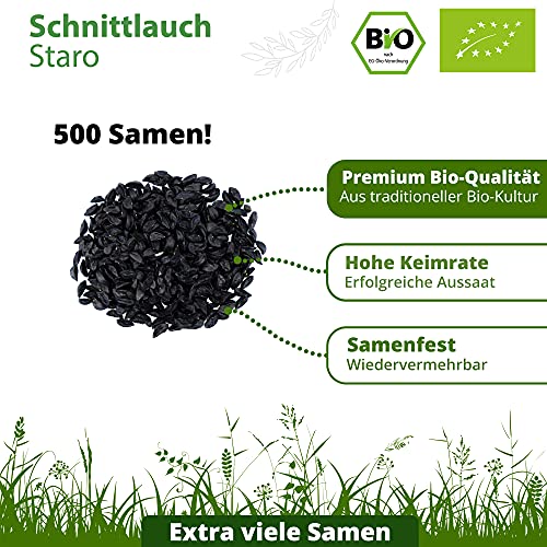Schnittlauch-Samen Little Plants BIO-Schnittlauchsamen
