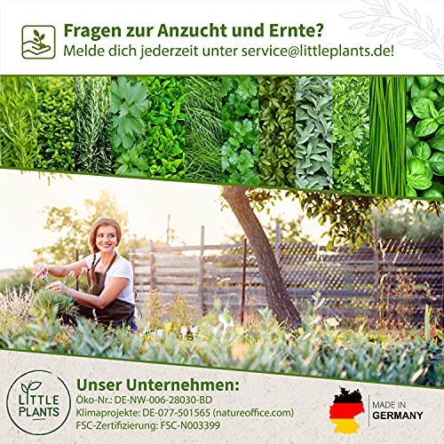 Schnittlauch-Samen Little Plants BIO-Schnittlauchsamen