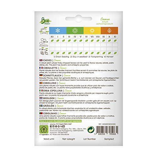 Schnittlauch-Samen Minigarden Schnittlauch, zertifiziert biologisch
