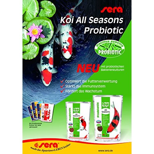 Sera-Koifutter sera Koi Junior All Seasons Probiotic 0,5 kg