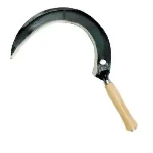 Sichel