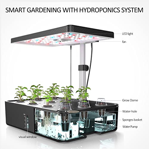Smart Garden iDOO Hydroponisches Anzuchtsystem, 12 Hülsen