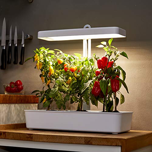 Smart Garden Northpoint LED Pflanzenlampe, 10 Setzlinge