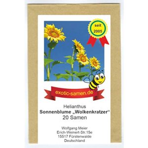 Sonnenblumen-Samen exotic-samen Riesen-Sonnenblume bis 4 M