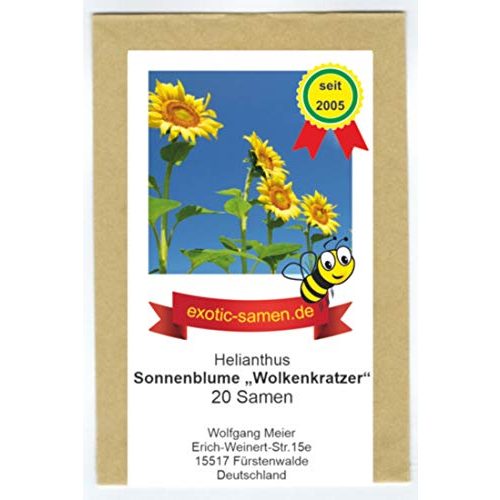 Die beste sonnenblumen samen exotic samen riesen sonnenblume bis 4 m Bestsleller kaufen