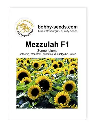 Sonnenblumen-Samen Gärtner’s erste Wahl! bobby-seeds.com