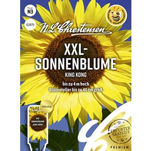 Sonnenblumen-Samen N.L.Chrestensen XXL, King Kong Samen