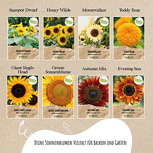 Sonnenblumen-Samen valeaf Sonnenblumen Samen Set, 8 Sorten