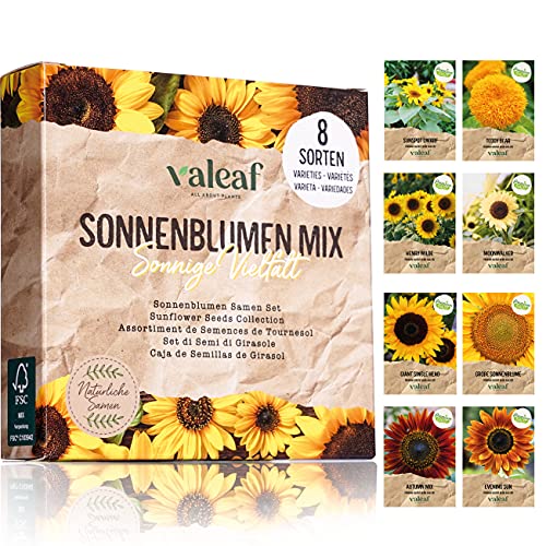 Die beste sonnenblumen samen valeaf sonnenblumen samen set 8 sorten Bestsleller kaufen