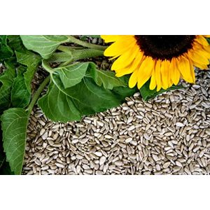 Sonnenblumenkerne geschält Futterbauer 25 kg