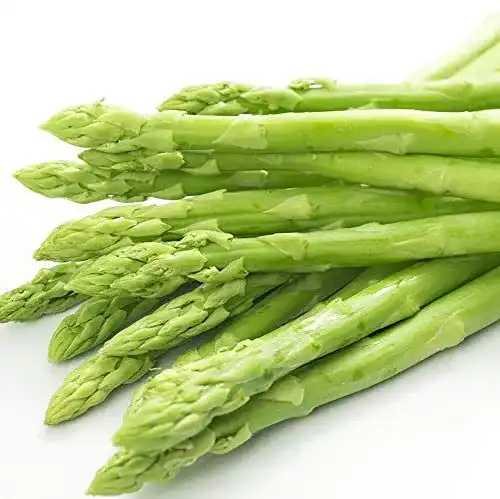 Spargelsamen Eysii Jersey Supreme Spargel Samen 30+ Non-GMO