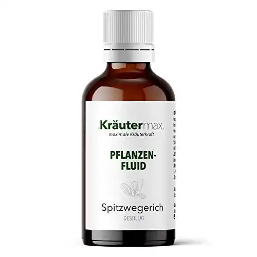 Die beste Spitzwegerich-Tinktur Kräutermax. Spitzwegerich Tropfen 50 ml 2026 Test Bestseller Spitzwegerich-Tinktur Kräutermax. Spitzwegerich Tropfen 50 ml