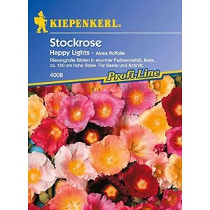 Stockrosen-Samen Kiepenkerl Stockrose Happy Lights