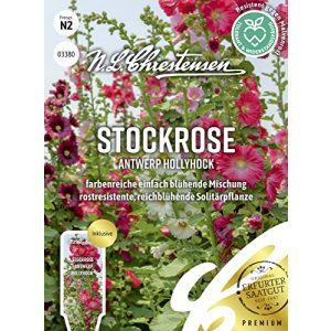 Stockrosen-Samen N.L.Chrestensen Stockrose Antwerp Hollyhock