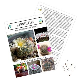 Sukkulenten-Samen HappySeed, hoher Keimrate 1x Mammillaria