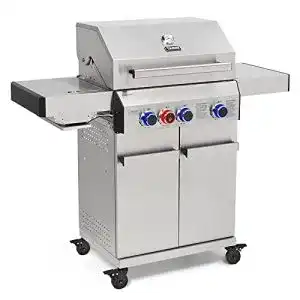 Taino-Gasgrill