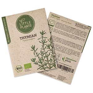 Thymian-Samen Little Plants BIO-Thymiansamen BIO-Saatgut