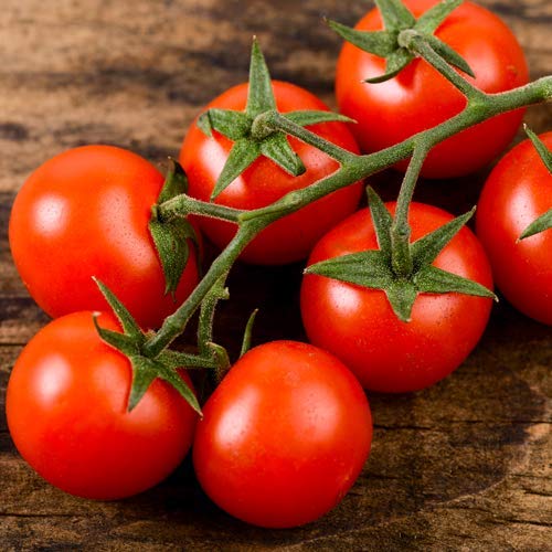 Die beste tomatensamen prademir cherry tomate 25 x samen Bestsleller kaufen