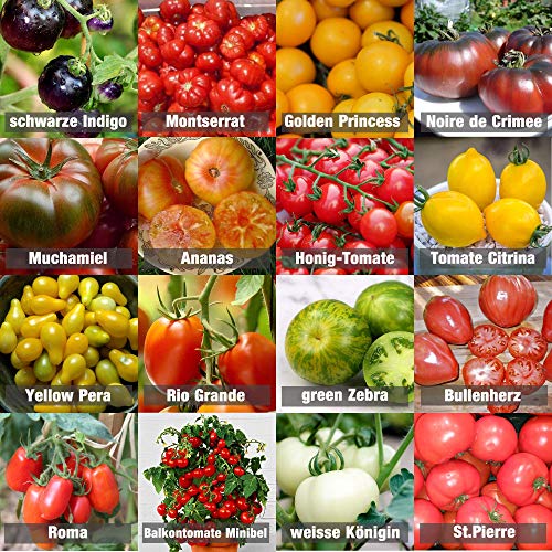 Die beste tomatensamen prademir tomaten saat set 16 x 10 saatgut Bestsleller kaufen