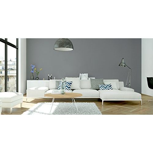 Wandfarbe Grau Lignocolor Wandfarbe Innenfarbe 2,5 L
