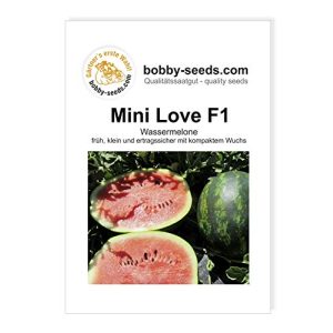 Wassermelonen-Samen Bobby-Seeds Saatzucht Mini Love F1