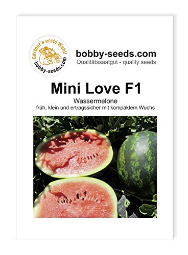 Die beste wassermelonen samen bobby seeds saatzucht mini love f1 Bestsleller kaufen