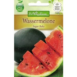 Wassermelonen-Samen Chrestensen Wassermelone ‘Sugar Baby’